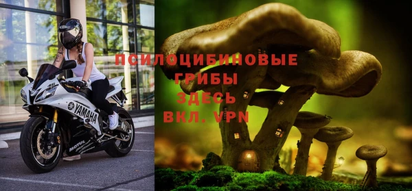 молекула духа Магас